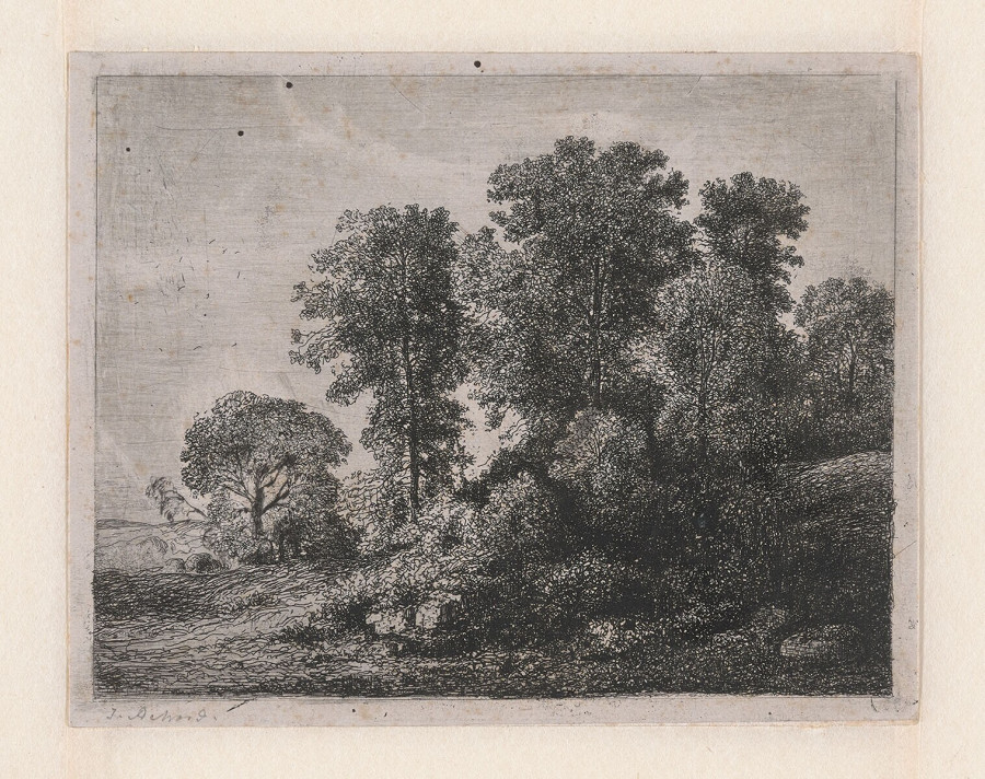 Trees and Shrubs on a Hill