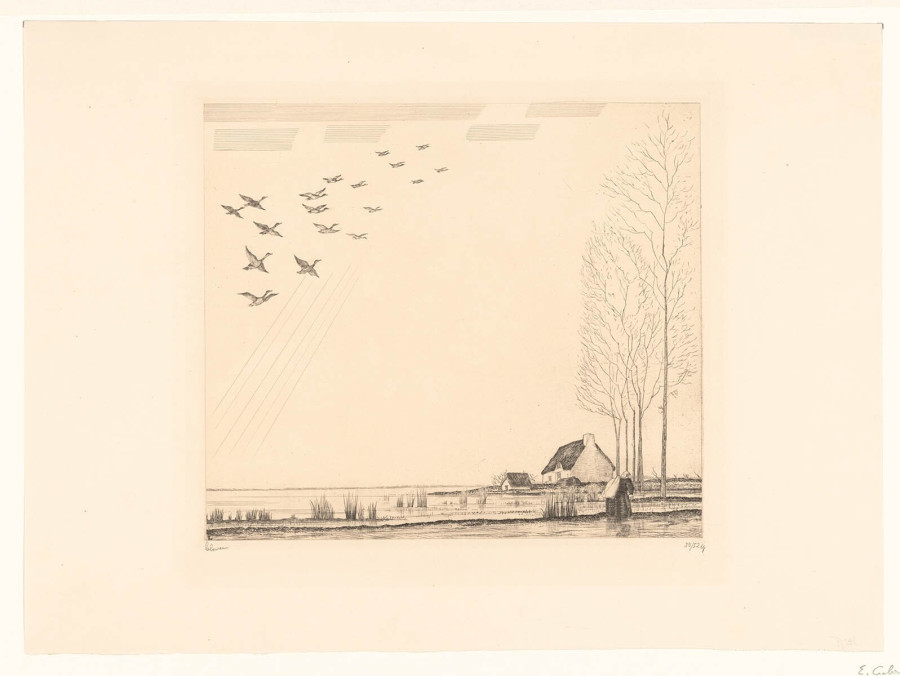 Landscape with Duck Flight